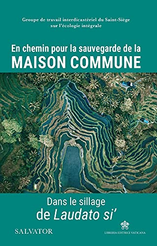 En chemin pour la sauvegarde de la maison commune : dans le sillage de Laudato si'