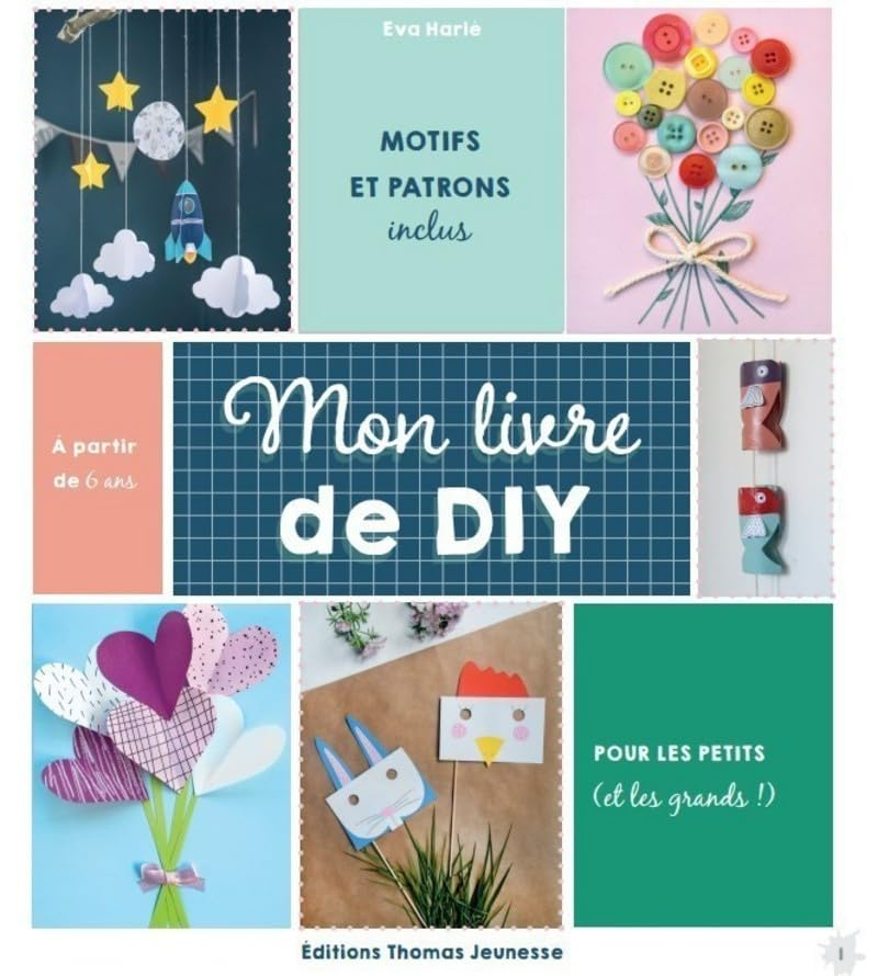 Mon livre de DIY : avec mes petites mains... : pour les petits (et les grands !)