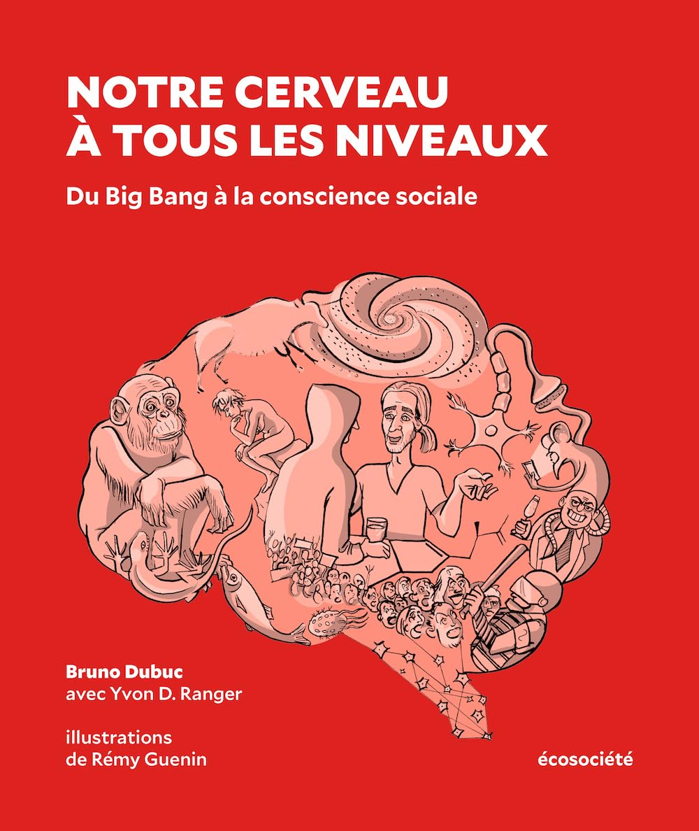 Notre cerveau à tous les niveaux : Du Big Bang à la conscience sociale