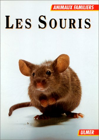 Les souris : rats et gerbilles
