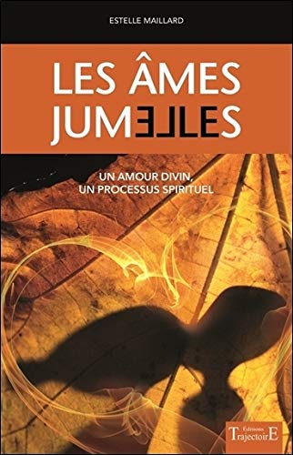 Les âmes jumelles : un amour divin, un processus spirituel