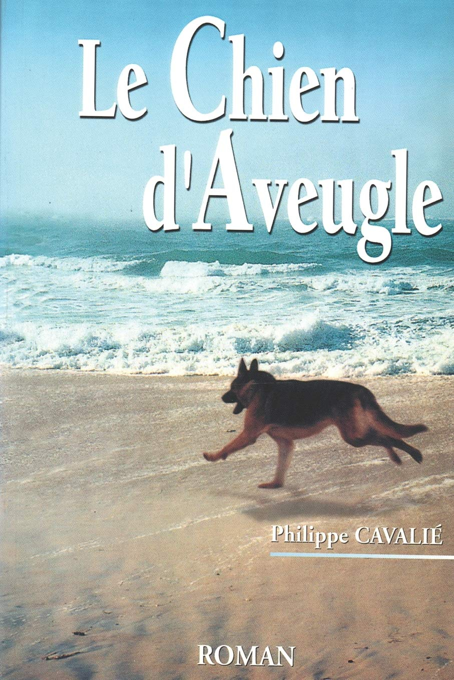 Le chien d'aveugle