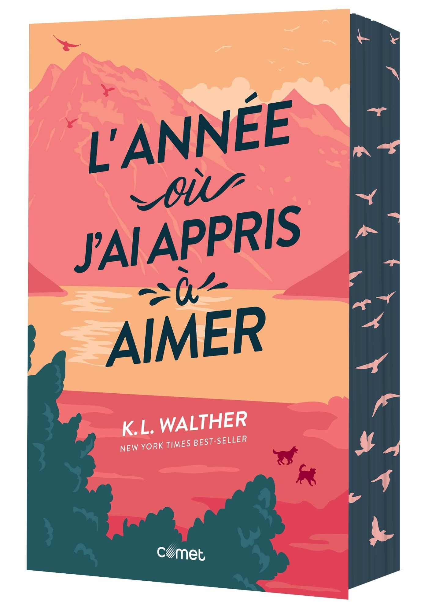 L'année où j'ai appris à aimer