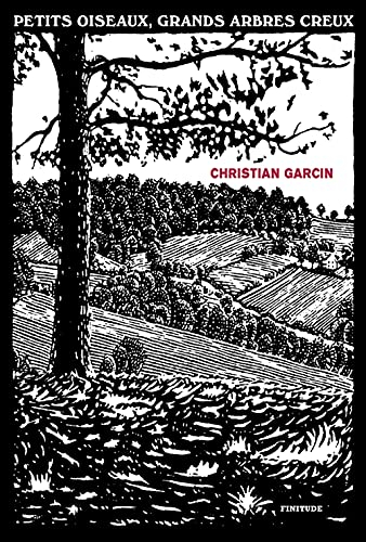 Petits oiseaux, grands arbres creux