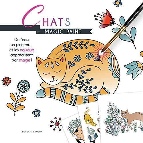 Chats : magic paint