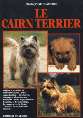 Le Cairn terrier