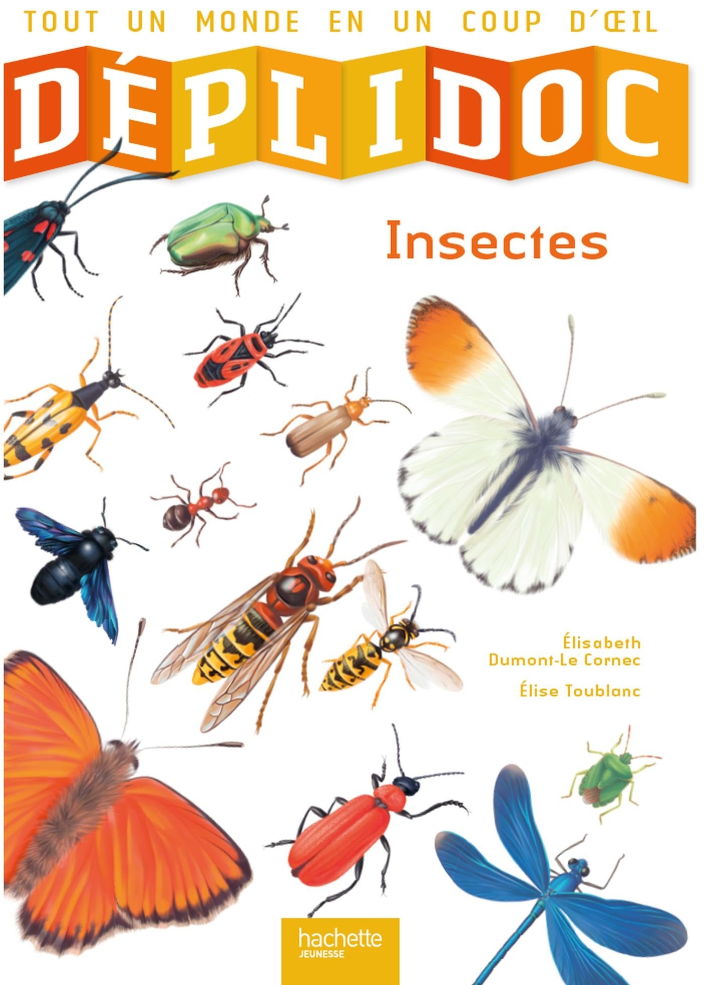 Insectes