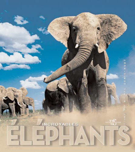 Incroyables éléphants
