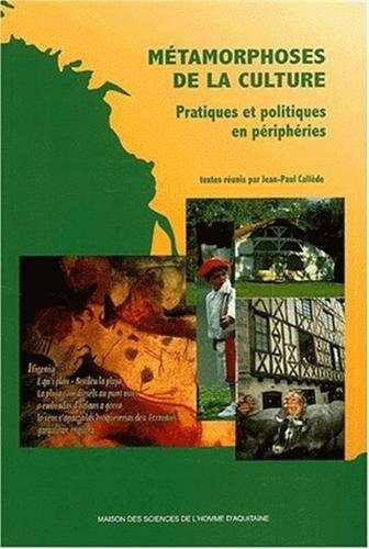Métamorphoses de la culture : pratiques et politiques en périphéries