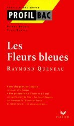 Les fleurs bleues, Raymond Queneau