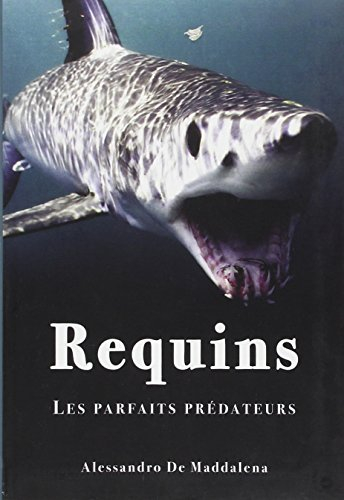 Requins : les parfaits prédateurs