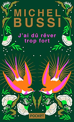 J'ai dû rêver trop fort