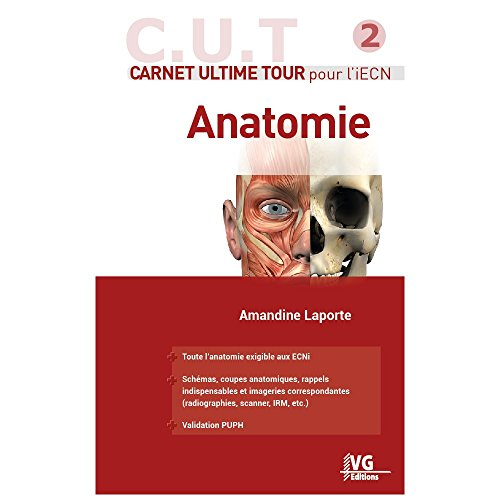 Anatomie