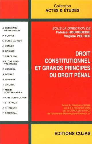 Droit constitutionnel et grands principes du droit pénal : actes du colloque organisé les 8 & 9 nove