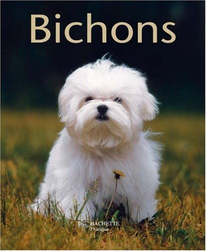 Bichons