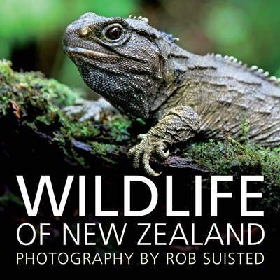 Wildlife of New Zealand