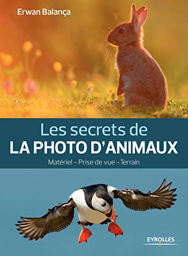 Les secrets de la photo d'animaux : matériel, prise de vue, terrain