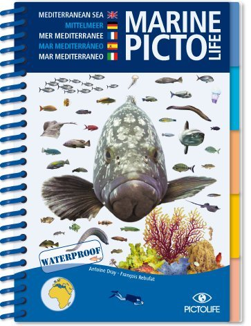 Pictolife Mer Méditerranée
