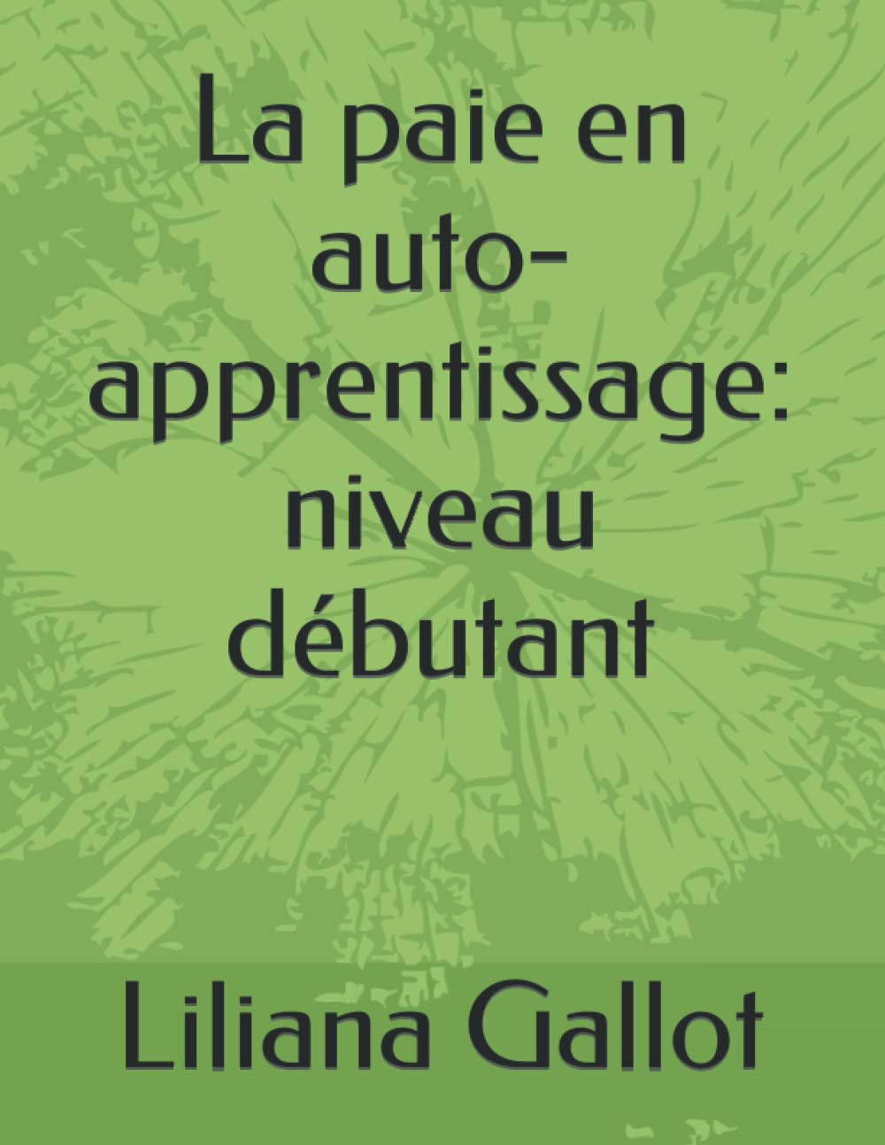 La paie en auto-apprentissage : niveau débutant