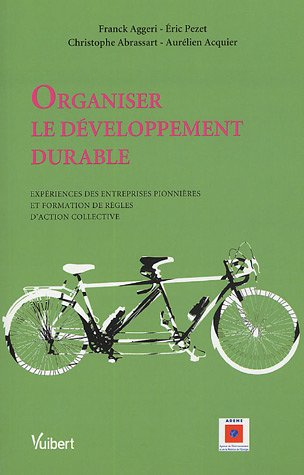 Organiser le développement durable : expériences des entreprises pionnières et formation de règles d
