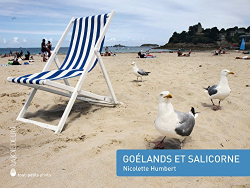 Goélands et salicorne