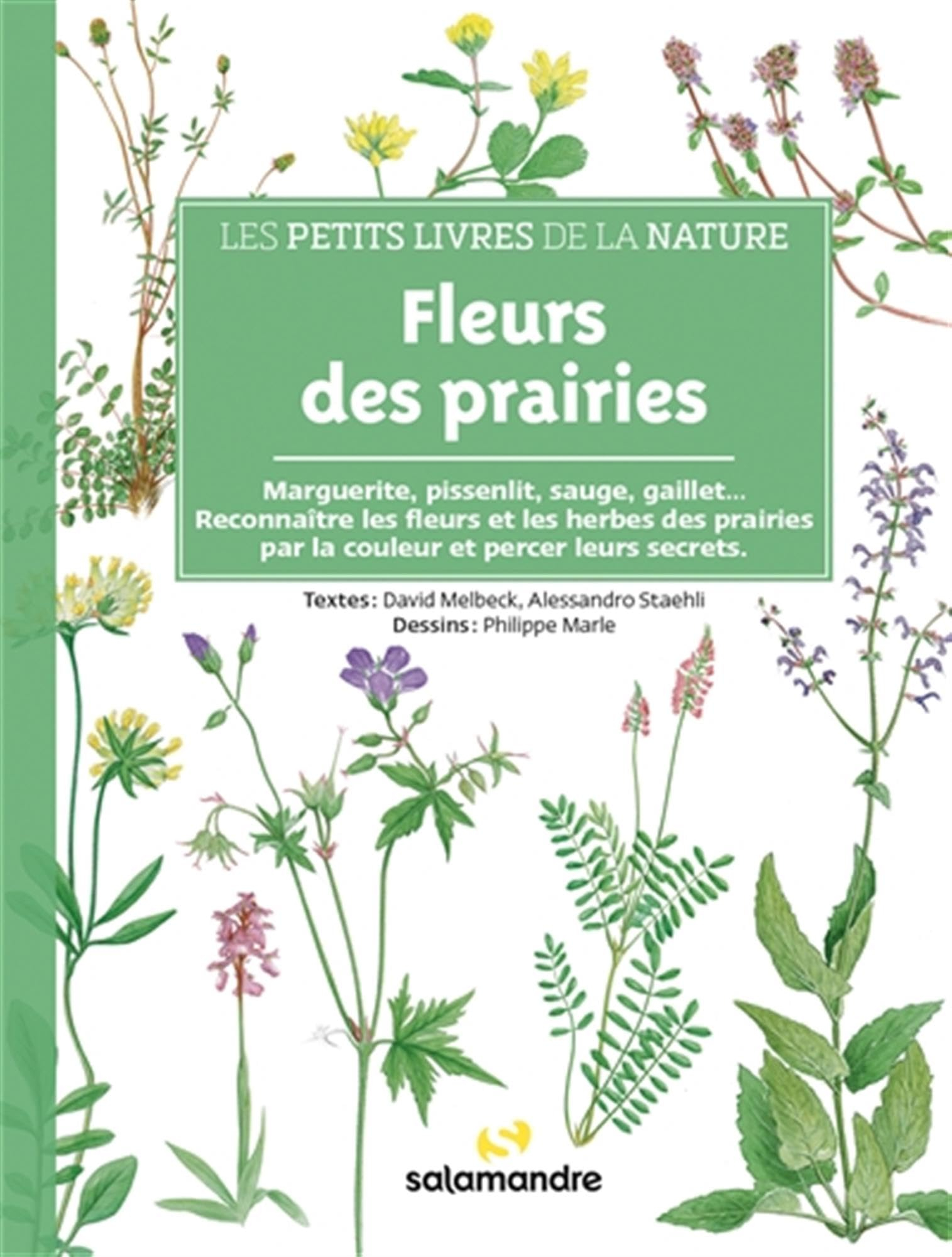 Fleurs des prairies : marguerites, pissenlits, sauges, gaillets... : reconnaître les fleurs et les h