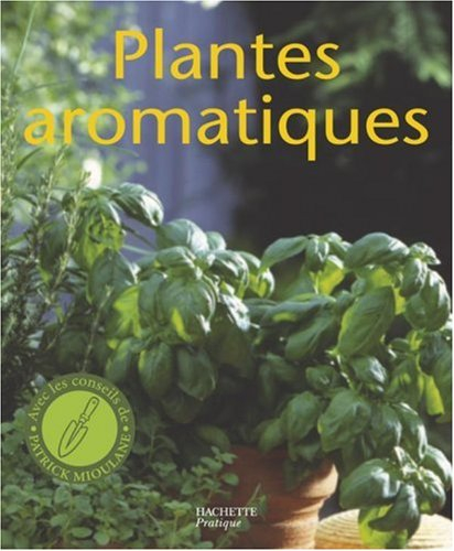 Plantes aromatiques : culture à la fenêtre, sur le balcon, en terrasse : les conseils de spécialiste