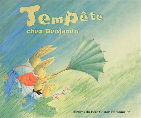 Tempête chez Benjamin
