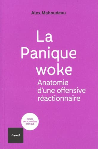 La panique woke : anatomie d'une offensive réactionnaire
