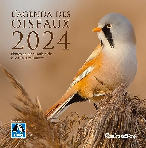 L'agenda des oiseaux 2024
