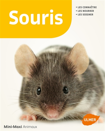 Souris : les connaître, les nourrir, les soigner