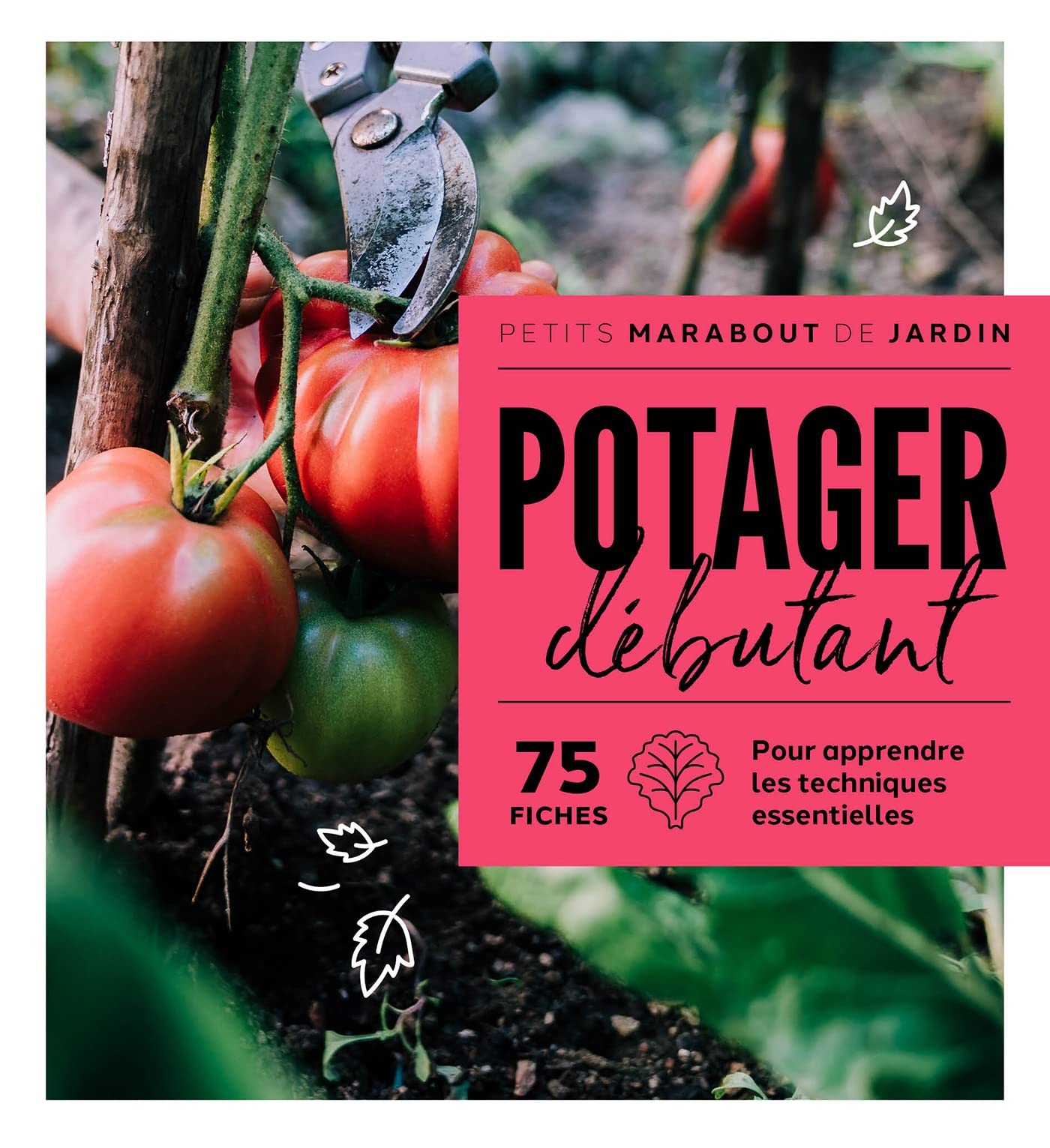 Potager débutant : 75 fiches : pour apprendre les techniques essentielles