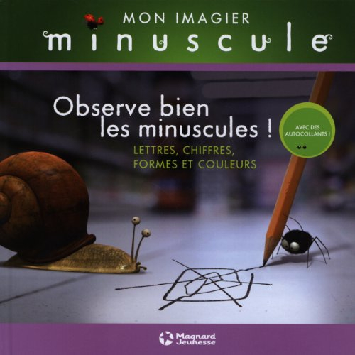 Observe bien les minuscules ! : lettres, chiffres, formes et couleurs