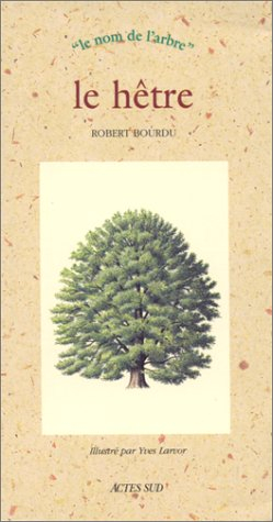 Le hêtre