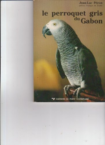 Le Perroquet gris du Gabon