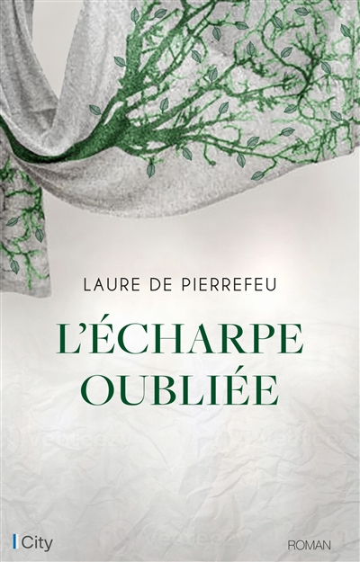 L'écharpe oubliée