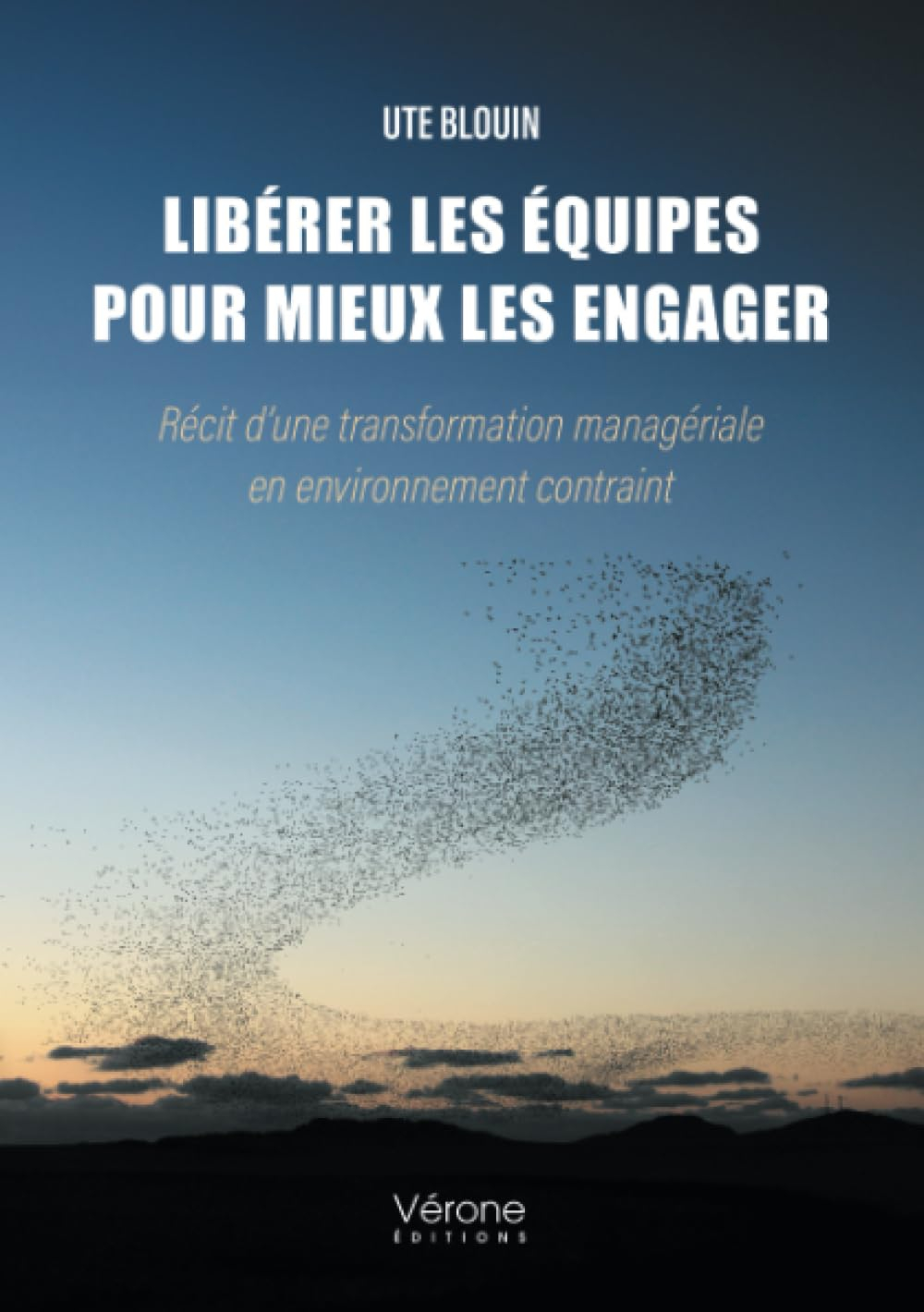 Libérer les équipes pour mieux les engager : Récit d'une transformation managériale en environnement