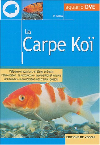 La carpe Koï