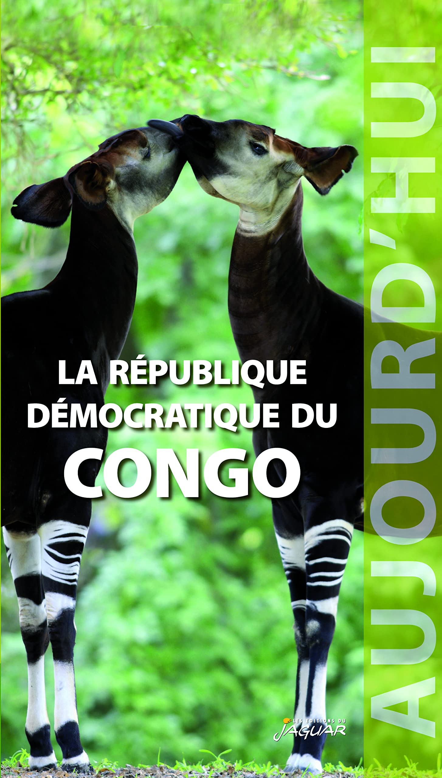 La République démocratique du Congo