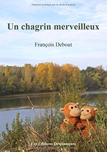 un chagrin merveilleux