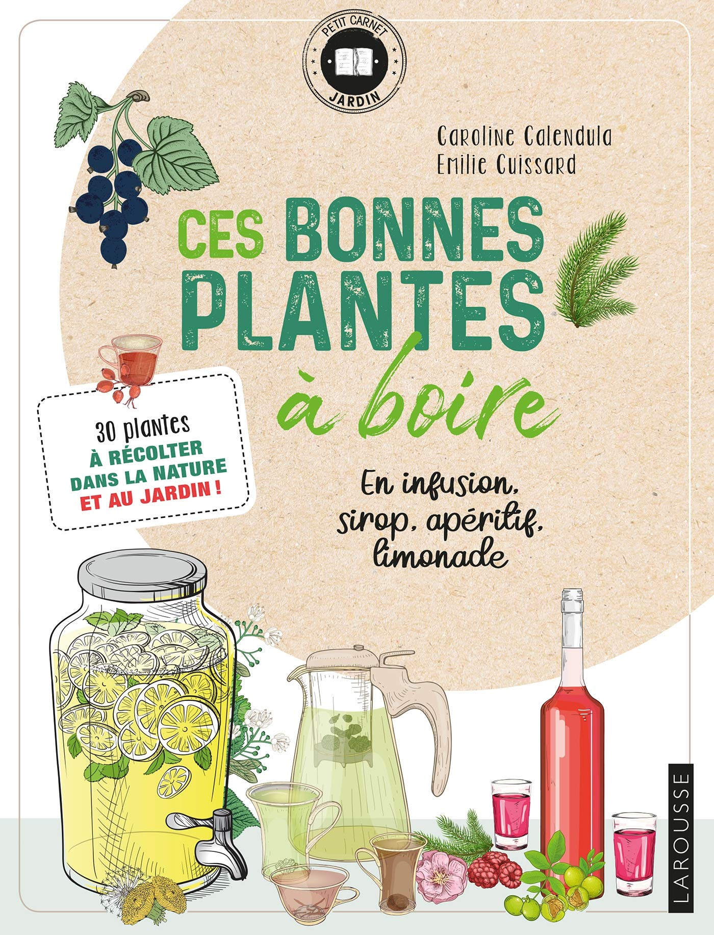Ces bonnes plantes à boire : en infusion, sirop, apéritif, limonade