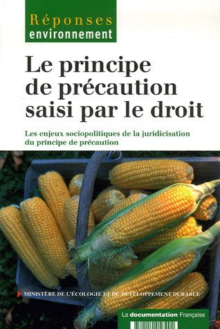 Le principe de précaution saisi par le droit : les enjeux sociopolitiques de la juridicisation du pr