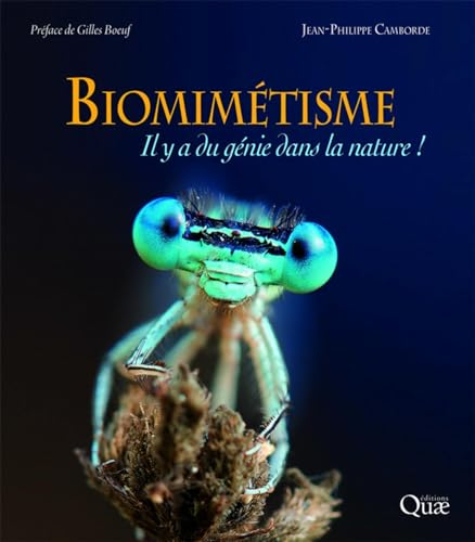 Biomimétisme : il y a du génie dans la nature !