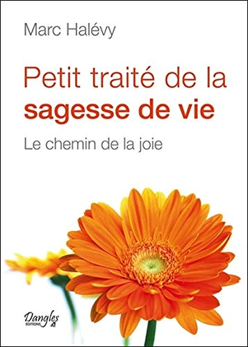 Petit traité de la sagesse de vie : le chemin de la joie