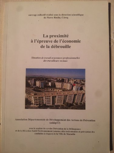 la proximité à l'épreuve de l'économie de la débrouille : situation de travail et postures professio