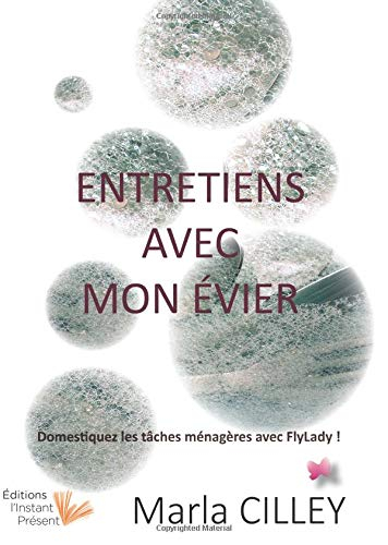 Entretiens avec mon évier : domestiquez les tâches ménagères avec FlyLady