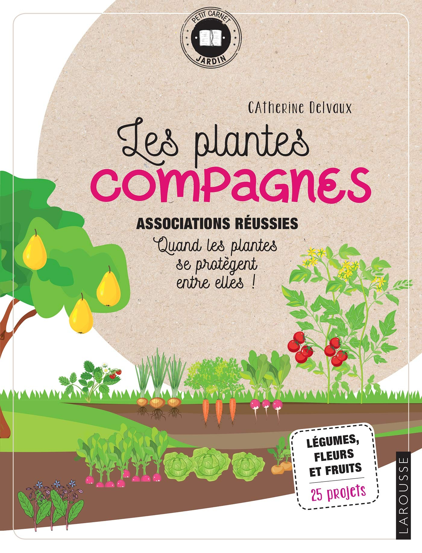 Les plantes compagnes : associations réussies, quand les plantes se protègent entre elles : légumes,