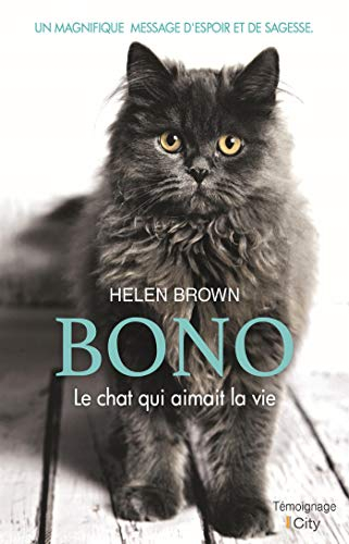 Bono, le chat qui aimait la vie