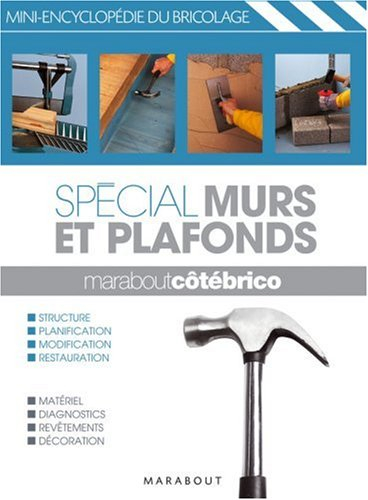 Spécial murs et plafonds