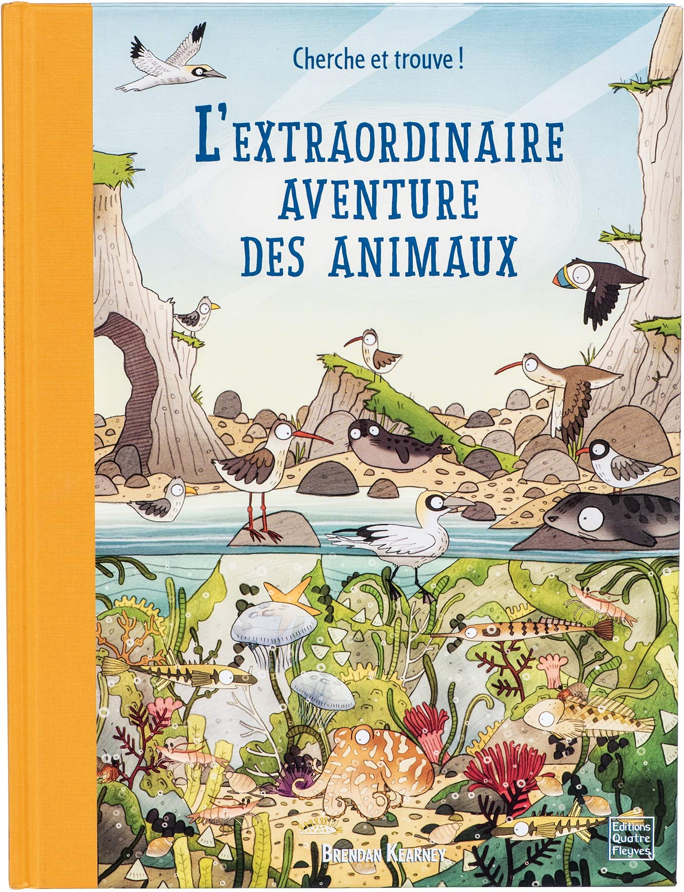 L'extraordinaire aventure des animaux : une promenade originale pour découvrir la richesse des habit